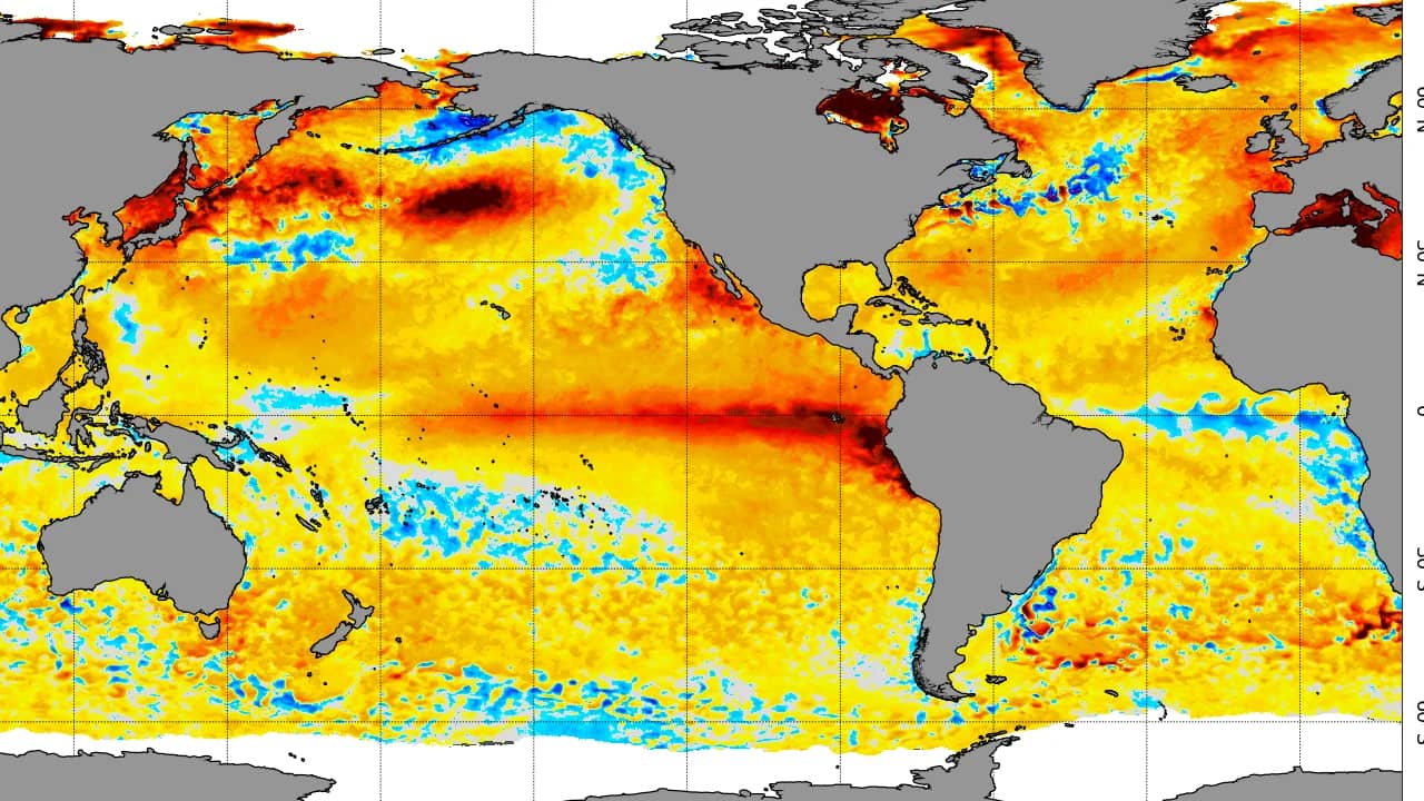 एल नीनो 2026 — NOAA समुद्री सतह तापमान नक्शा: भूमध्य रेखा पर प्रशांत महासागर की गर्म लाल पट्टी