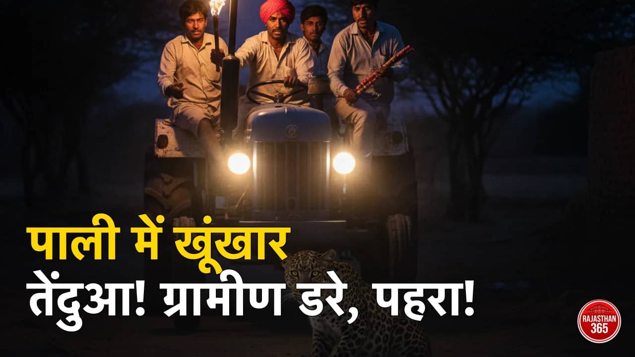 पाली के हिंगोला-पावा में लेपर्ड का आतंक: रातभर जागकर पहरा दे रहे ग्रामीण, प्रशासन से सुरक्षा की गुहार