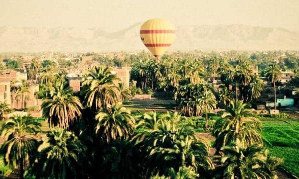 बीकानेर में रिश्तों का खूनी अंत: बहन के विवाद के चलते साले ने तलवार से उतारा जीजा को मौत के घाट
