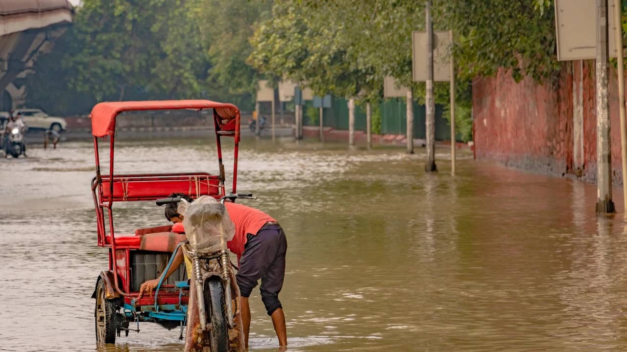 राजस्थान में बारिश से स्कूल छुट्टी 2026: अभी किन जिलों में अवकाश, आदेश कौन देता है और सही सूचना कहां मिलेगी — लाइव ट्रैक