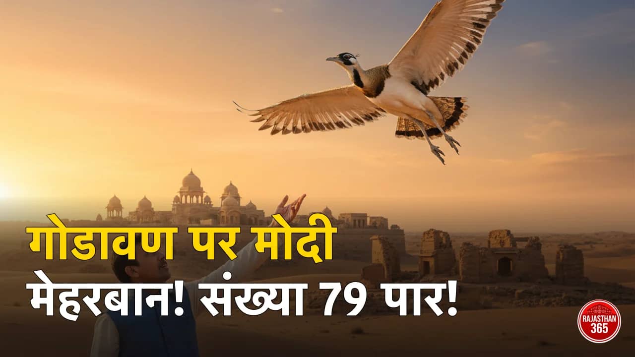 जैसलमेर में गोडावण संरक्षण को मिली बड़ी सफलता: PM मोदी ने की तारीफ, 79 तक पहुंची 'राजस्थान के गौरव' की संख्या