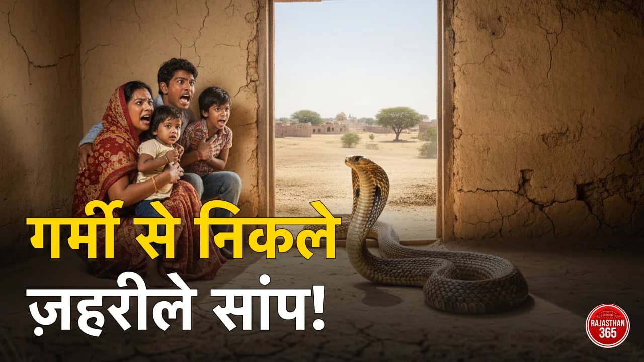 राजस्थान में भीषण गर्मी का असर: घरों में घुस रहे हैं जहरीले सांप, उदयपुर में रेस्क्यू कॉल्स में आया भारी उछाल