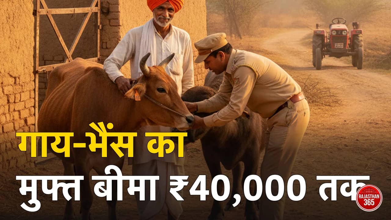पशु चिकित्सक गाय के कान में टैग लगाते हुए, साथ में पशुपालक — मंगला पशु बीमा योजना राजस्थान में मुफ्त बीमा
