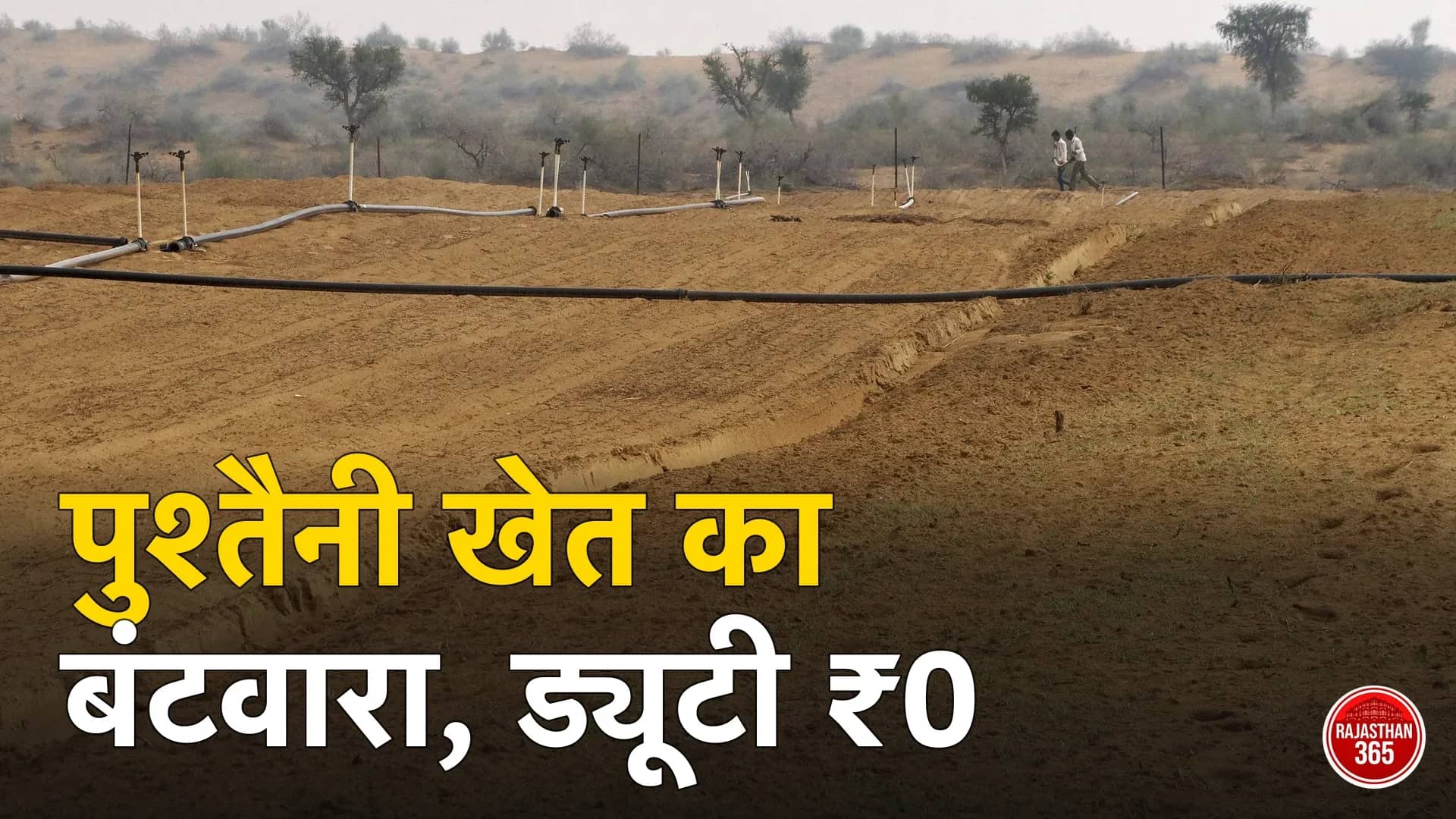 बीकानेर के पास एक फार्म के खेत, जिनके बीच मिट्टी की मेड़ यानी खेत की सीमा दिखती है
