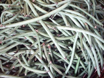 Cowpea(Lobia/Karamani)