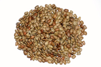 कुलथी