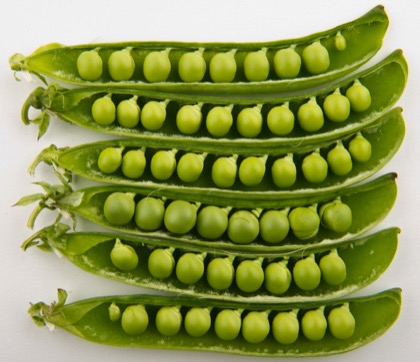 Peas Wet