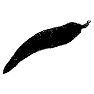 वार्ड पंच चुनाव चिन्ह — हरी मिर्च